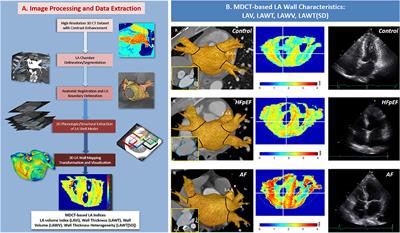 Insights on Distinct Left Atrial Remodeling Between Atrial Fibrillation and Heart Failure With Preserved Ejection Fraction